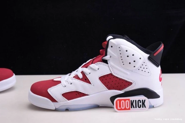 Rep Husky 'CARMINE' 2021 AIR 6 RETRO JORDAN CT8529-106 0814